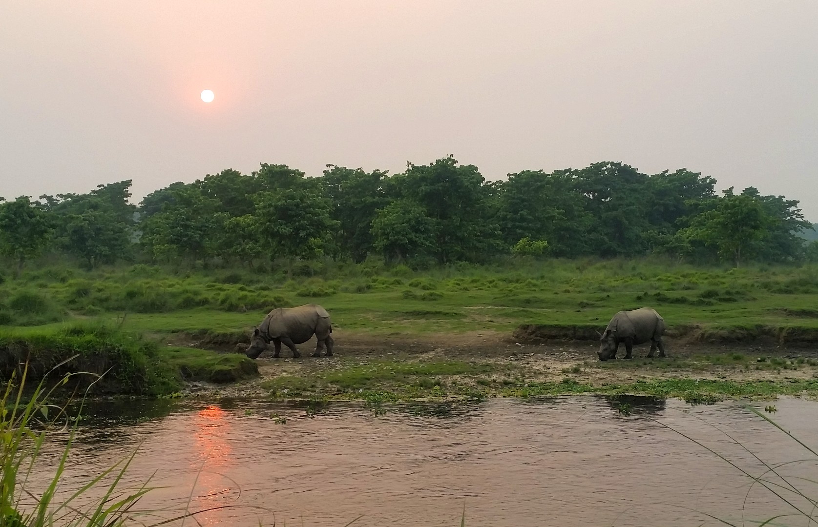 Dschungel Safari im Chitwan National Park- 4 Tage