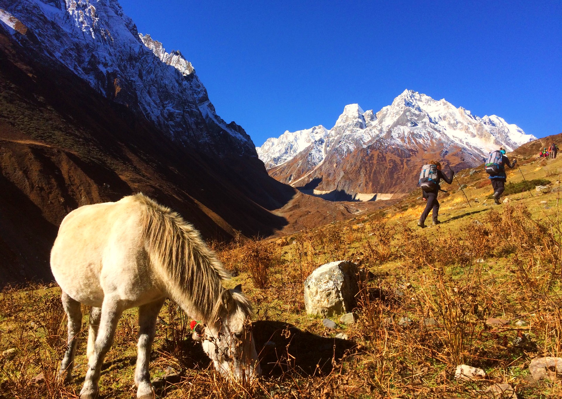 Manaslu to Annapurna Adventure Trek- 26 Days